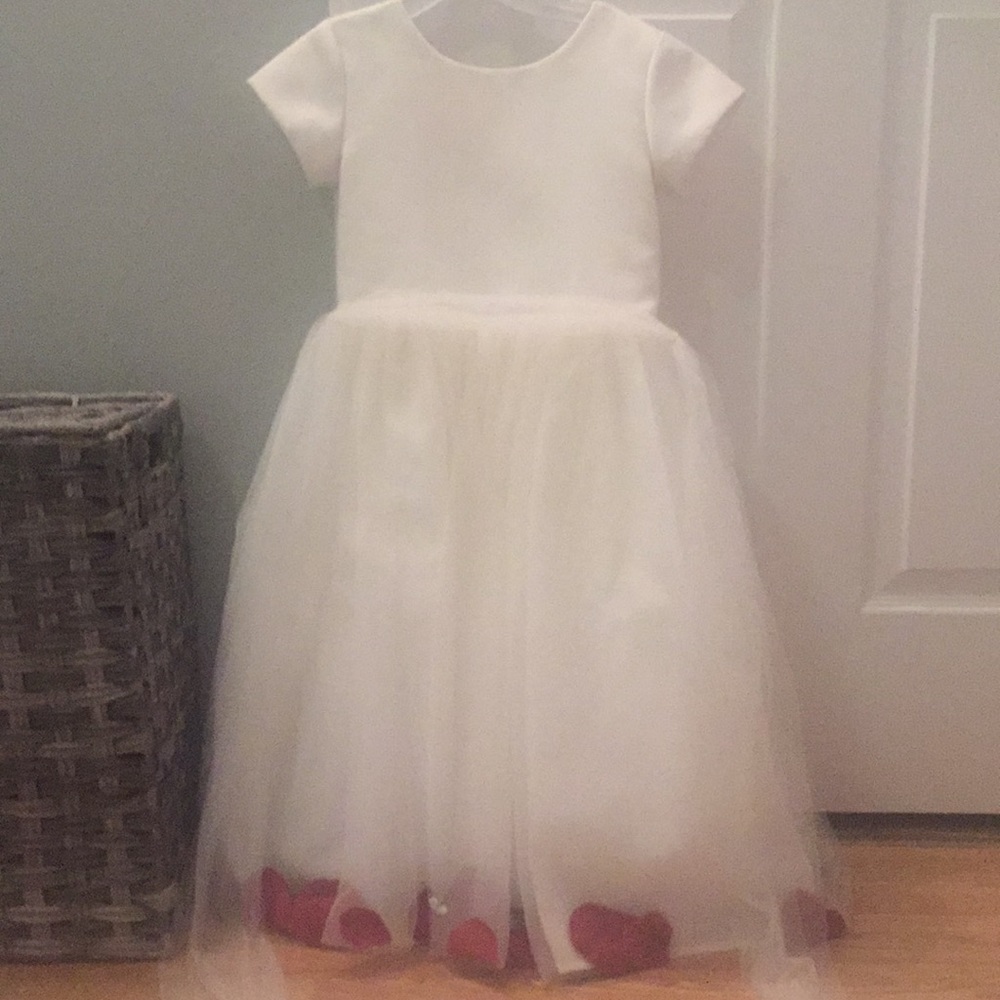 Velvet rose dress
